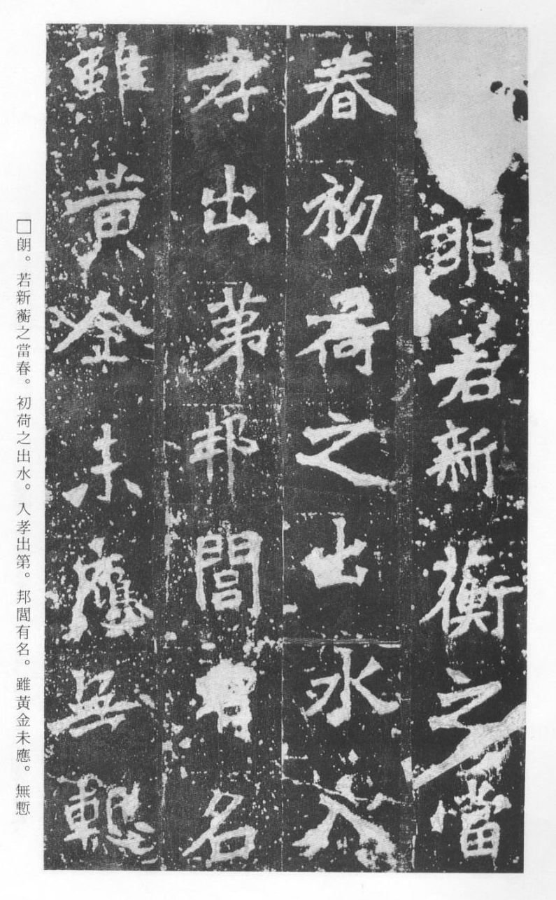 《张猛龙碑》局部8.jpg